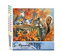 Figured'Art Peinture par Numéro Adulte Ecureuil espiègle - Activité Manuelle Kit de Loisir Créatif DIY Numéro d'Art Complet - 40x50cm sans châssis en bois