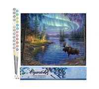 Figured'Art Peinture par Numéro Adulte Elan et aurore boréale - Activité Manuelle Kit de Loisir Créatif DIY Numéro d'Art Complet - 40x50cm sans châssis en bois