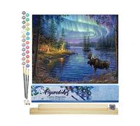 Figured'Art Peinture par Numéro Adulte Elan et Aurore boréale - Activité Manuelle Kit de Loisir Créatif DIY Numéro d'Art Complet - 40x50cm avec châssis en bois à monter