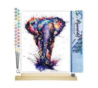 Figured'Art Peinture par Numéro Adulte Eléphant d'Asie en Peinture - Activité Manuelle Kit de Loisir Créatif DIY Numéro d'Art Complet - 40x50cm avec châssis en bois à monter