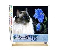 Figured'Art Peinture par Numéro Adulte Face à face floral - Activité Manuelle Kit de Loisir Créatif DIY Numéro d'Art Complet - 40x50cm avec châssis en bois à monter