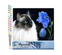 Figured'Art Peinture par Numéro Adulte Face à face floral - Activité Manuelle Kit de Loisir Créatif DIY Numéro d'Art Complet - 40x50cm sans châssis en bois