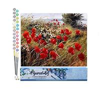 Figured'Art Peinture par Numéro Adulte Fleurs champêtres - Activité Manuelle Kit de Loisir Créatif DIY Numéro d'Art Complet - 40x50cm sans châssis en bois