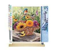 Figured'Art Peinture par Numéro Adulte Fleurs dans un Panier et Oiseaux - Activité Manuelle Kit de Loisir Créatif DIY Numéro d'Art Complet - 40x50cm avec châssis en bois à monter