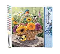 Figured'Art Peinture par Numéro Adulte Fleurs dans un Panier et Oiseaux - Activité Manuelle Kit de Loisir Créatif DIY Numéro d'Art Complet - 40x50cm sans châssis en bois