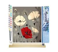 Figured'Art Peinture par Numéro Adulte Fleurs Rouge et Blanches - Activité Manuelle Kit de Loisir Créatif DIY Numéro d'Art Complet - 40x50cm avec châssis en bois à monter