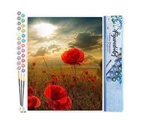 Figured'Art Peinture par Numéro Adulte Fleurs sous le Soleil - Activité Manuelle Kit de Loisir Créatif DIY Numéro d'Art Complet - 40x50cm sans châssis en bois