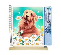 Figured'Art Peinture par Numéro Adulte Golden Retriever - Activité Manuelle Kit de Loisir Créatif DIY Numéro d'Art Complet - 40x50cm avec châssis en bois à monter