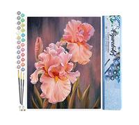 Figured'Art Peinture par Numéro Adulte Iris rosé - Activité Manuelle Kit de Loisir Créatif DIY Numéro d'Art Complet - 40x50cm sans châssis en bois