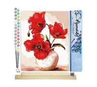 Figured'Art Peinture par Numéro Adulte Jolis Coquelicots - Activité Manuelle Kit de Loisir Créatif DIY Numéro d'Art Complet - 40x50cm avec châssis en bois à monter