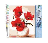 Figured'Art Peinture par Numéro Adulte Jolis Coquelicots - Activité Manuelle Kit de Loisir Créatif DIY Numéro d'Art Complet - 40x50cm sans châssis en bois