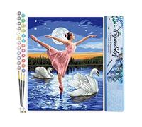 Figured'Art Peinture par Numéro Adulte Le Lac des Cygnes - Activité Manuelle Kit de Loisir Créatif DIY Numéro d'Art Complet - 40x50cm sans châssis en bois