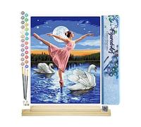 Figured'Art Peinture par Numéro Adulte Le Lac des Cygnes - Activité Manuelle Kit de Loisir Créatif DIY Numéro d'Art Complet - 40x50cm avec châssis en bois à monter