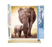 Figured'Art Peinture par Numéro Adulte Maman éléphant et son petit - Activité Manuelle Kit de Loisir Créatif DIY Numéro d'Art Complet - 40x50cm avec châssis en bois à monter