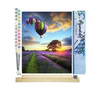 Figured'Art Peinture par Numéro Adulte Montgolfières au Dessus des Champs Vertical - Activité Manuelle Kit de Loisir Créatif DIY Numéro d'Art Complet - 40x50cm avec châssis en bois à monter