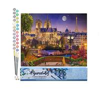 Figured'Art Peinture par Numéro Adulte Notre-Dame Etoilée - Activité Manuelle Kit de Loisir Créatif DIY Numéro d'Art Complet - 40x50cm sans châssis en bois