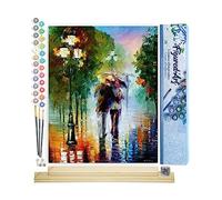 Figured'Art Peinture par Numéro Adulte Pluie Romantique - Activité Manuelle Kit de Loisir Créatif DIY Numéro d'Art Complet - 40x50cm avec châssis en bois à monter