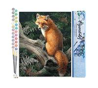 Figured'Art Peinture par Numéro Adulte Renard dans les Fougères - Activité Manuelle Kit de Loisir Créatif DIY Numéro d'Art Complet - 40x50cm sans châssis en bois