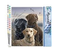 Figured'Art Peinture par Numéro Adulte Trio de labrador - Activité Manuelle Kit de Loisir Créatif DIY Numéro d'Art Complet - 40x50cm sans châssis en bois