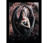 Figuren-Shop.de Kleine Leinwand - Angel Rose by Anne Stokes - Gothic Engel