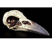 Figuren Shop GmbH Edgar's Corbeau Crâne - Nevermore | Tête de Mort Corbeau Fantastique Gothique