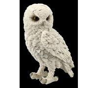 Figuren Shop gmbh Schneeeulen Tier-Figur - Neigeux Watch Petit Vogel-Figur, Figurine de Déco, Décoder l'article, Statue, Sculpture, Hauteur 14,5 CM