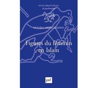 Figures du féminin en Islam - Houria Abdelouahed - Puf - broché - Essai