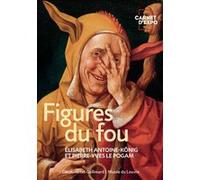 Figures du fou Pierre-Yves Le Pogam (Auteur), Elisabeth Antoine-Konig (Auteur)