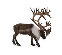 Figurine à collectionner CollectA Caribou Woodland extra large, à partir de 3 an