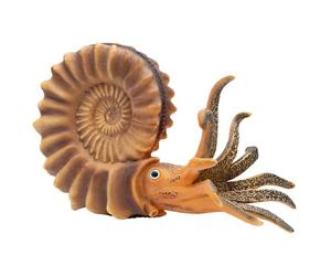 figurine Ammonite 17 cm