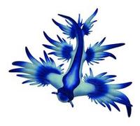 Figurine animal marin : Escargot de l'océan bleu Bullyland Bleu G