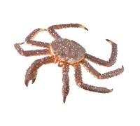 Figurine Animaux Marins (Xl): Crabe Royal