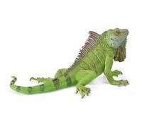 Collecta Figurine Iguane 88965 – réaliste, très grande, verte