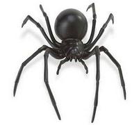 Figurine Araignée noire - SAFARI - Modèle peint en plastique - Pour enfant de 3 à 9 ans