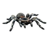 Bullyland - B68457 - Figurine Tarentule - Blanc - Taille 9 cm