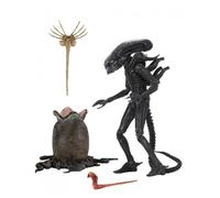 NECA Figurine Alien Big Chap 40e anniversaire 22 cm – Précommande Janvier 2026