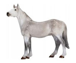 Figurine Cal Orlov Trotter, Animal Planet, 12,5 cm x 4,75 cm x 11,75 cm G