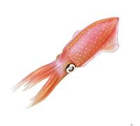 Figurine Calmar de récif