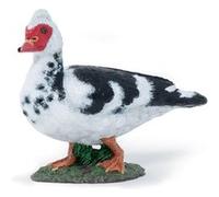 Papo - Figurines à Collectionner - Canard de Barbarie - 51189 - Animaux de la Ferme - pour Enfants - Filles Et Garçons - A Partir de 3 Ans