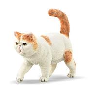Collecta – Figurine chat – Exotic Shorthair