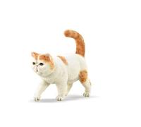 Figurine Chat : Exotic Shorthair