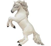 Chevaux, Poulains Et Poneys Cheval Cabré Blanc
