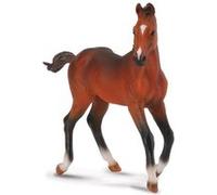 Collecta Poulain Quart de Cheval, Bay