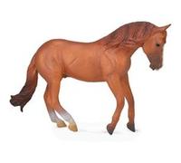 Figurine Cheval XL : Étalon Australien Marron Figurines Collecta Marron G