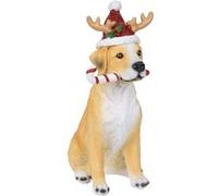 figurine chien bonnet noël canne polystone 22cm - modèle aléatoire - koopman apf473000 Multicolore G