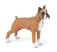 Chiens Et Chats Boxer