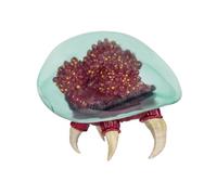 Figurine d’Action Metroid Prime Nintendo 15,2 cm, Officielle Nintendo par, Design détaillé et texturé, Figurine de Collection avec Multiples Points d’Articulation, idéale pour Jouer et Exposer