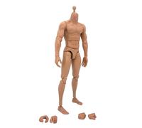 Figurine D'Action Premium 1/6, Épaule Étroite, Squelette Masculin, Connecteur De Mains, Dessins Artistiques, Poupées Flexibles, Sculpture De Tête, Convient À Ht