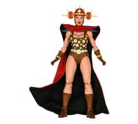 NECA – Figurine d'action Renet TMNT (Mirage Comics) – 83832 – Multicolore