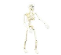 Figurine d'action squelette - Modèle de squelette humain avec articulations mobiles - Jouet réaliste pour la maison, le bureau, les fêtes, le jardin